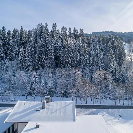 Apartman Blick Auf Den Rettenstein 1 Und 2 Kirchberg in Tirol