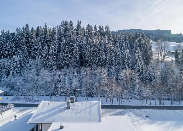 Apartment Blick Auf Den Rettenstein 1 Und 2 Kirchberg in Tirol